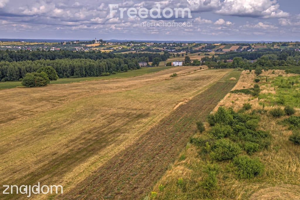 Działka rolna 1,7 ha - zdjęcie 6