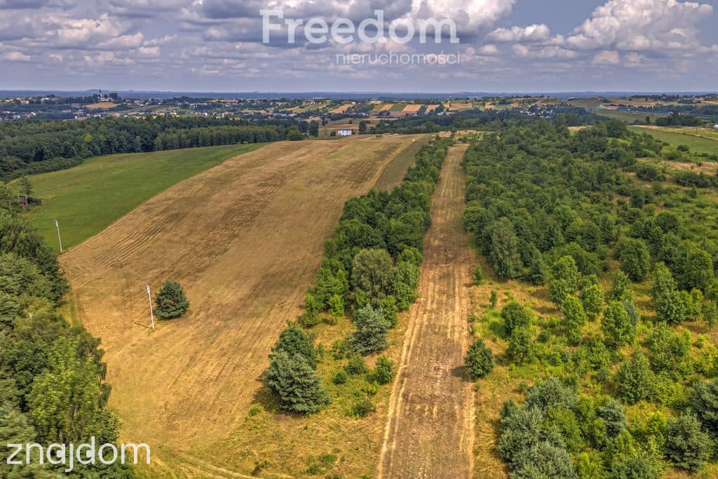 Działka rolna 1,7 ha - zdjęcie 7