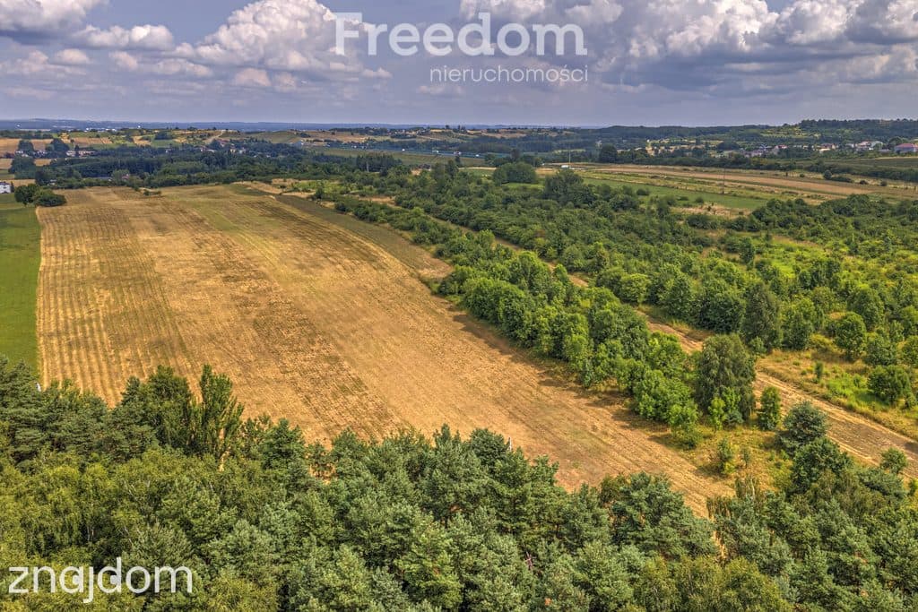 Działka rolna 1,7 ha - zdjęcie 8