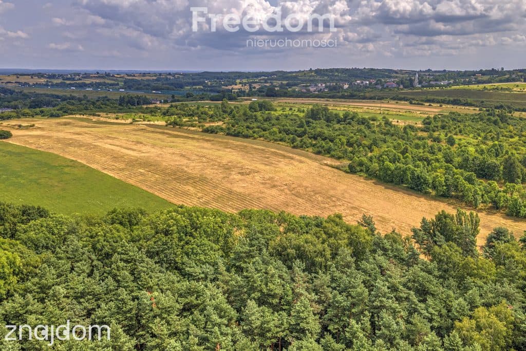 Działka rolna 1,7 ha - zdjęcie 9