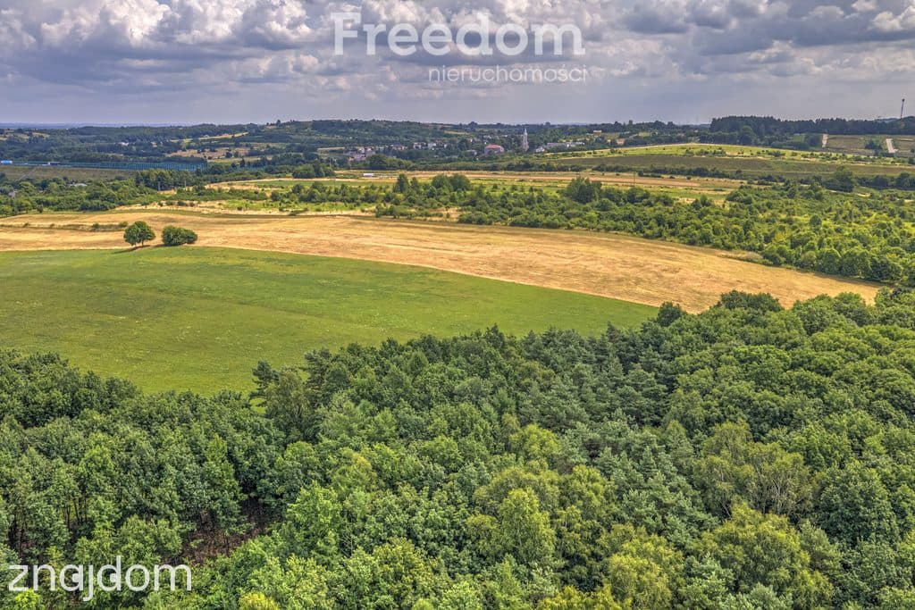 Działka rolna 1,7 ha - zdjęcie 10