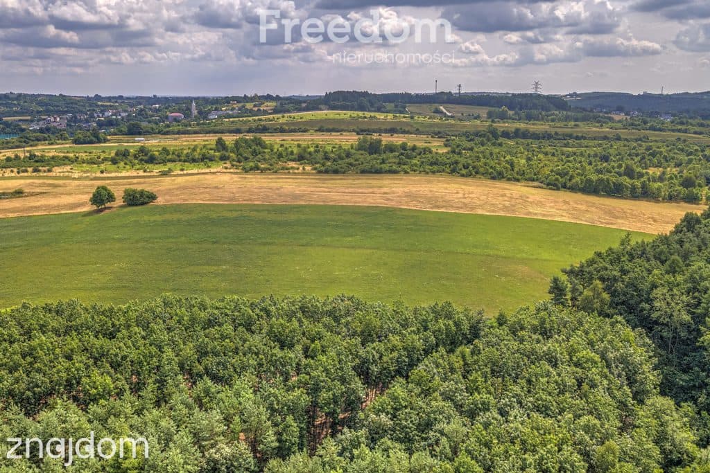 Działka rolna 1,7 ha - zdjęcie 11