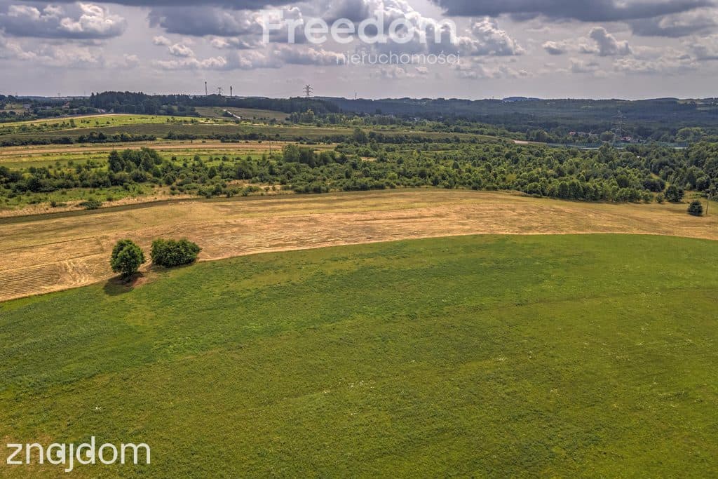Działka rolna 1,7 ha - zdjęcie 12