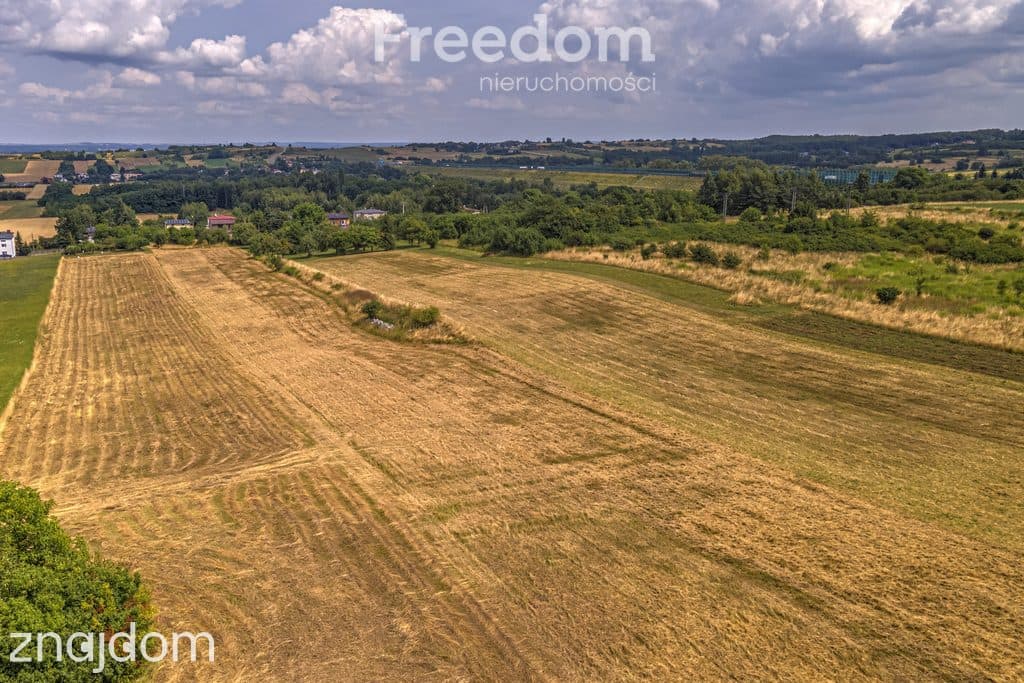 Działka rolna 1,7 ha - zdjęcie 13