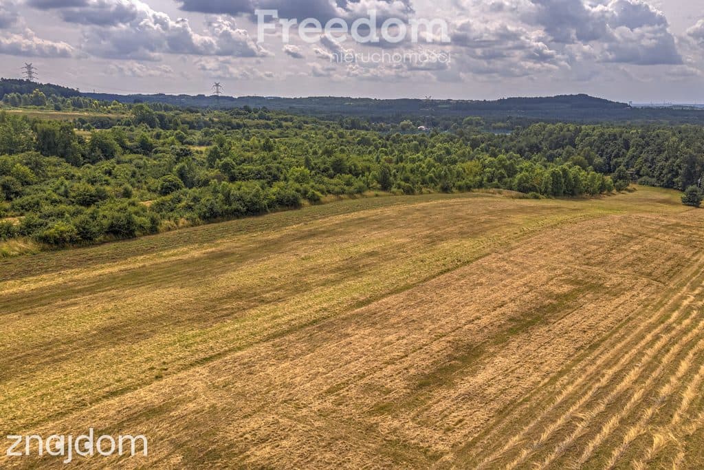 Działka rolna 1,7 ha - zdjęcie 14