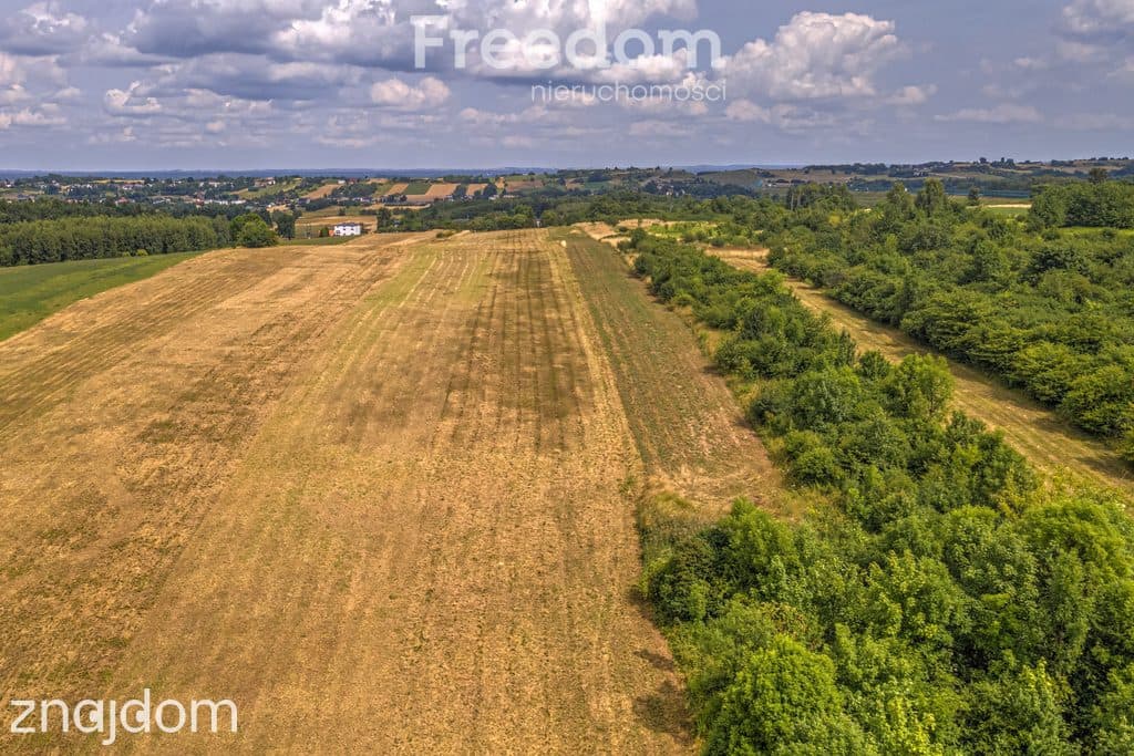 Działka rolna 1,7 ha - zdjęcie 15