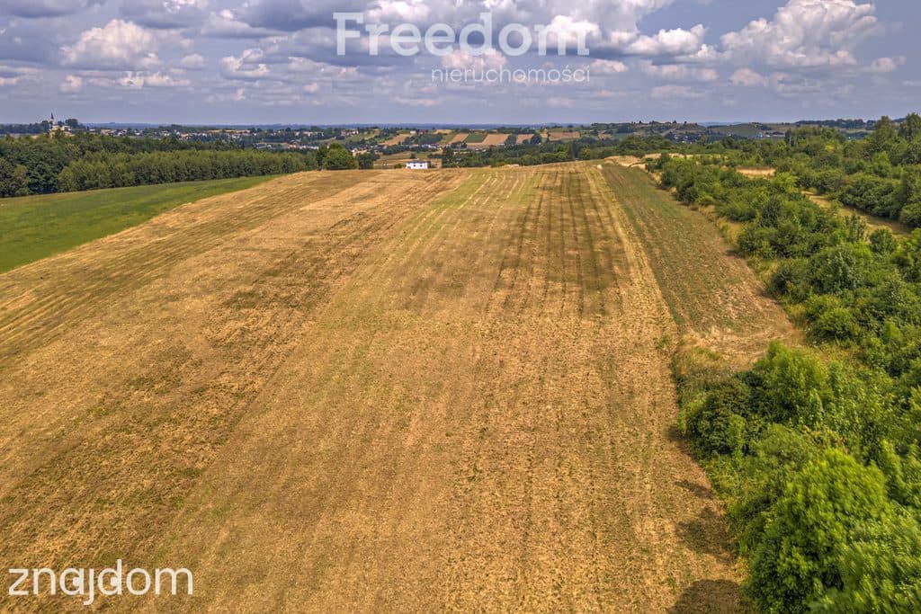 Działka rolna 1,7 ha - zdjęcie 16