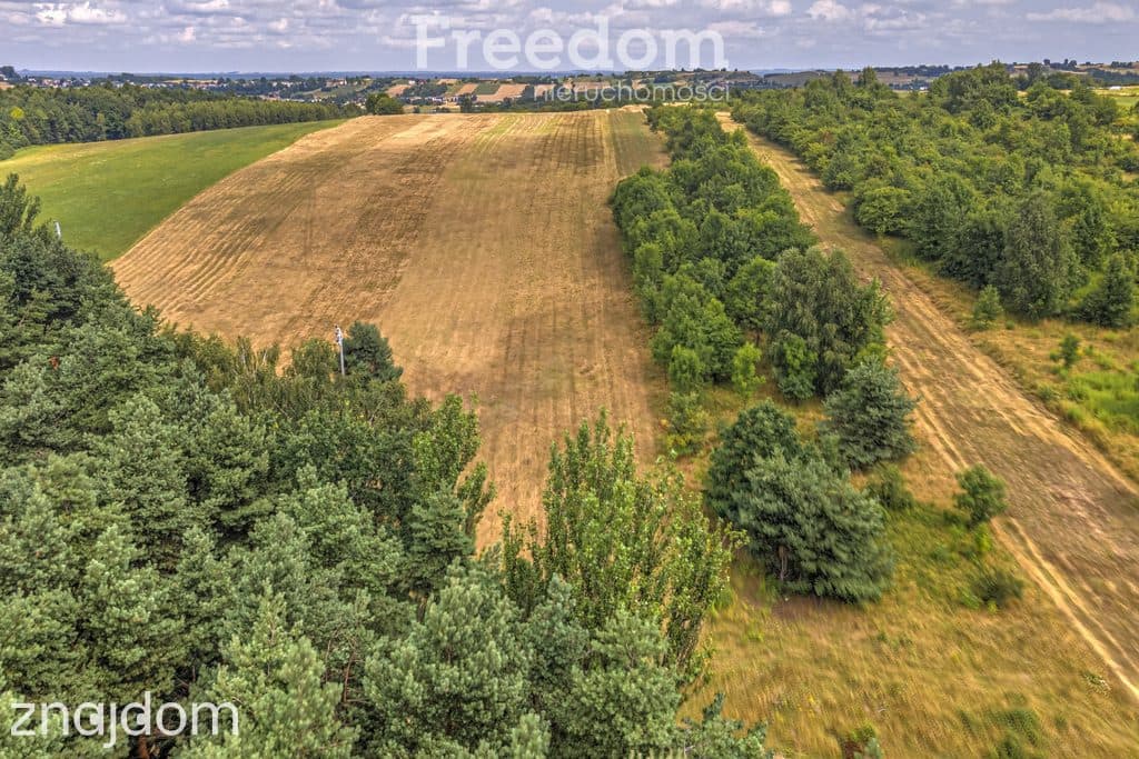 Działka rolna 1,7 ha - zdjęcie 17