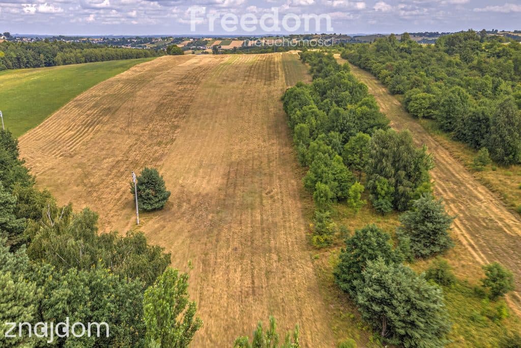 Działka rolna 1,7 ha - zdjęcie 18