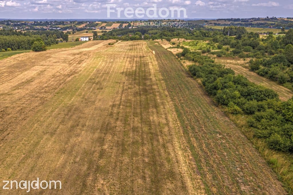 Działka rolna 1,7 ha - zdjęcie 19
