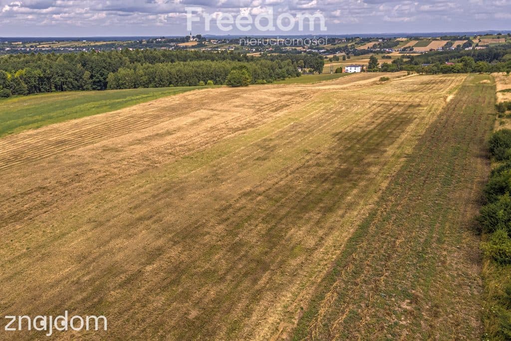 Działka rolna 1,7 ha - zdjęcie 20