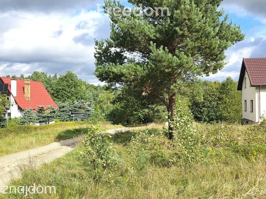 Działka 400 m od jeziora - plaży, przystani - zdjęcie 4