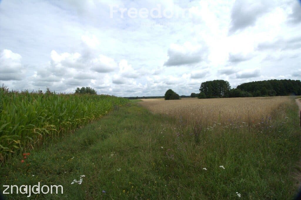 DZIAŁKA 6550 m² Z WARUNKAMI ZABUDOWY – WOŹNAWIEŚ - zdjęcie 3