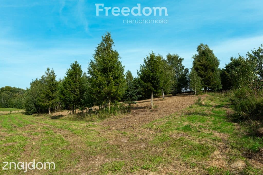 Działka budowlana na wzniesieniu z WZ i lasem ! - zdjęcie 13