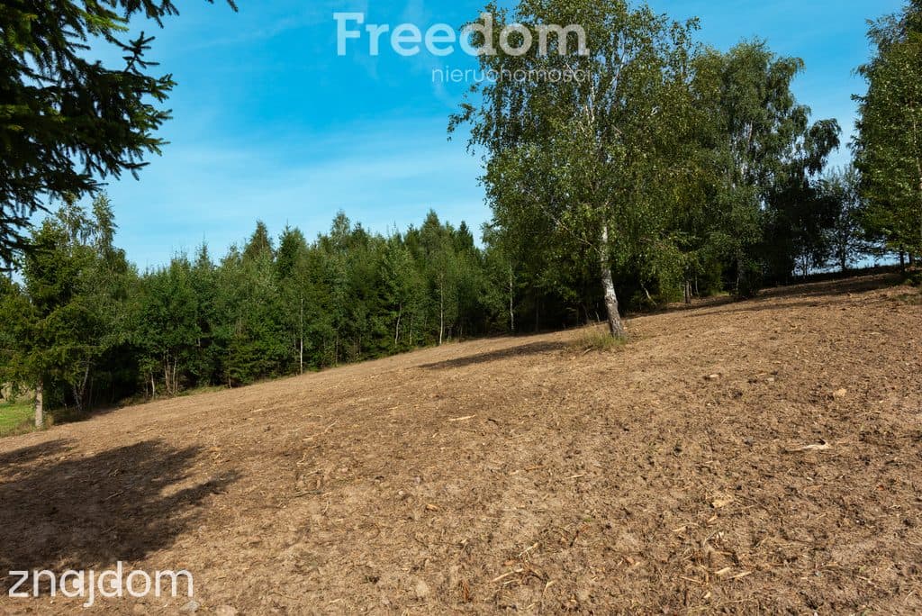 Działka budowlana na wzniesieniu z WZ i lasem ! - zdjęcie 15