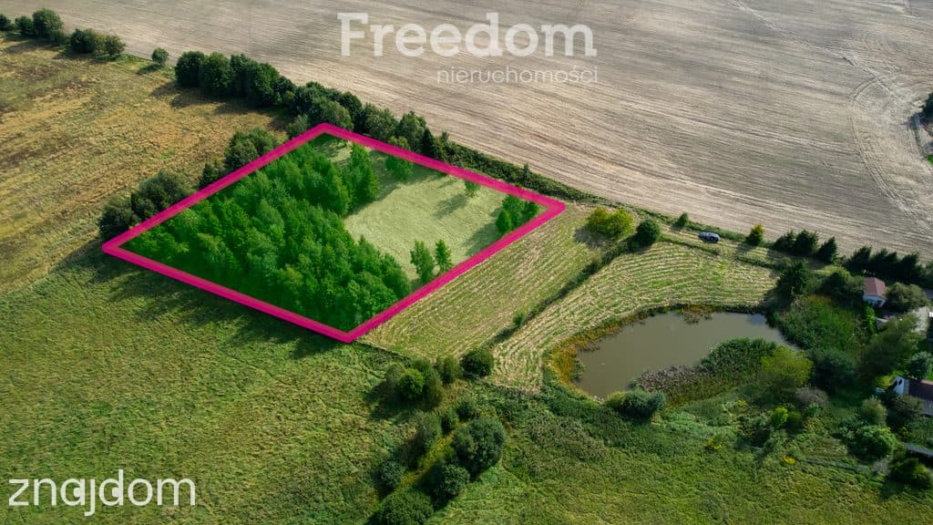Działka budowlana na wzniesieniu z WZ i lasem ! - zdjęcie 12