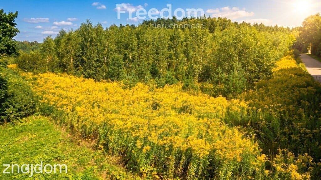 Działka inwestycyjna 2,34 ha przy DK51 - zdjęcie 8