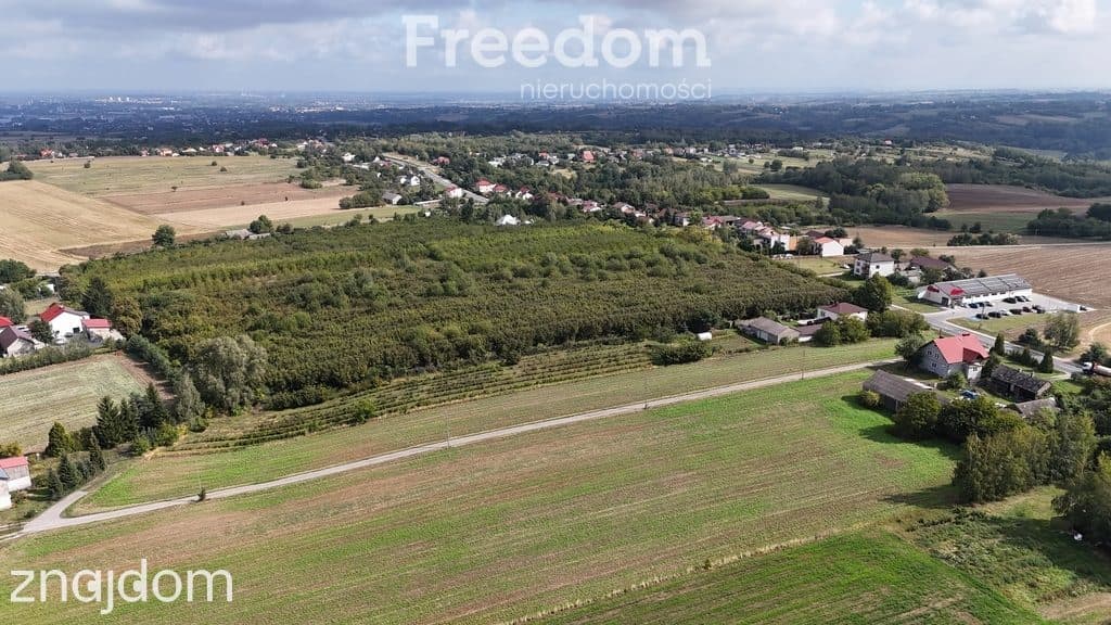 Na sprzedaż działka rolno-budowlana 5200m2 - zdjęcie 4