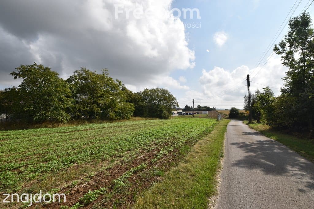 Na sprzedaż działka rolno-budowlana 5200m2 - zdjęcie 7