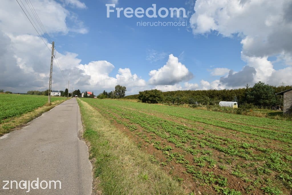 Na sprzedaż działka rolno-budowlana 5200m2 - zdjęcie 8