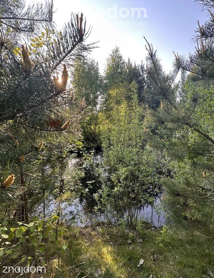 Działka budowlana z MPZP blisko jezior i lasów ! - zdjęcie 18