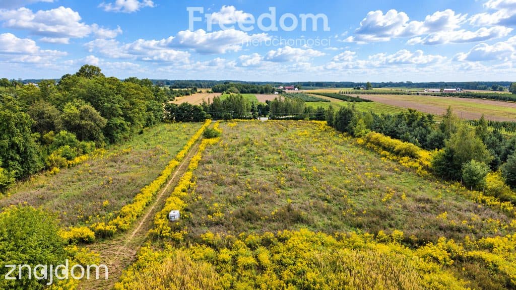 Działka 3000m2 z WZ - Piekary gm.Mszczonów - zdjęcie 4