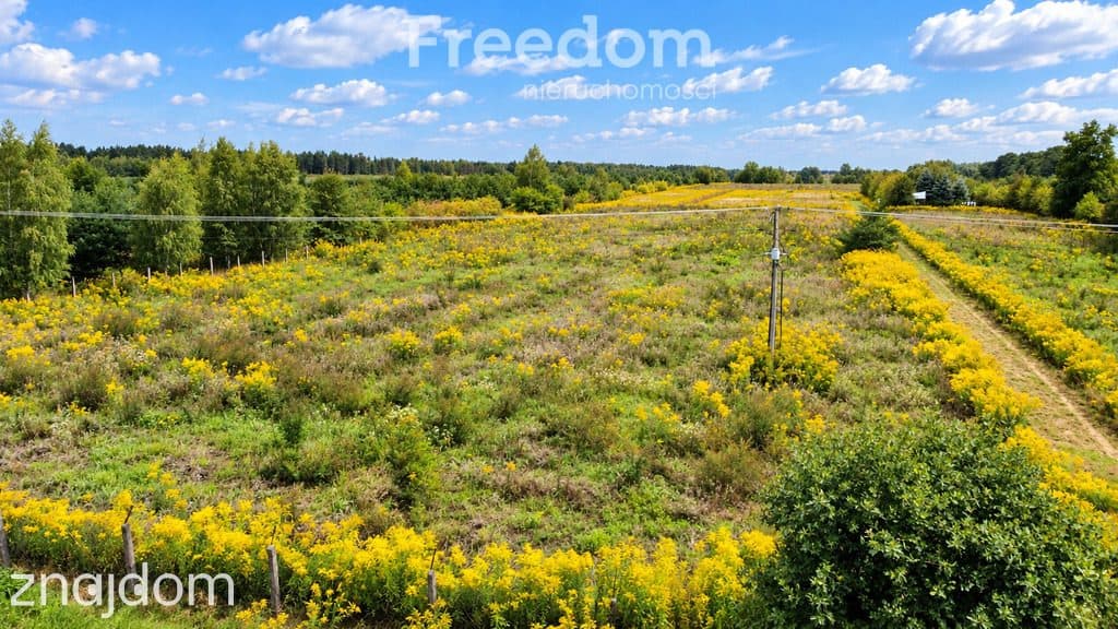 Działka 3000m2 z WZ - Piekary gm.Mszczonów - zdjęcie 2