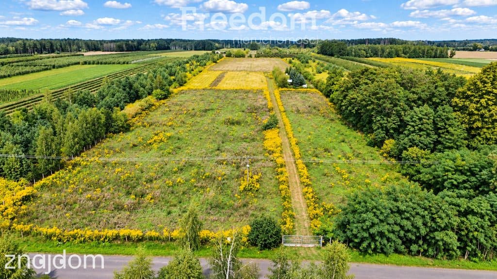 Działka 3000m2 z WZ - Piekary gm.Mszczonów - zdjęcie 3