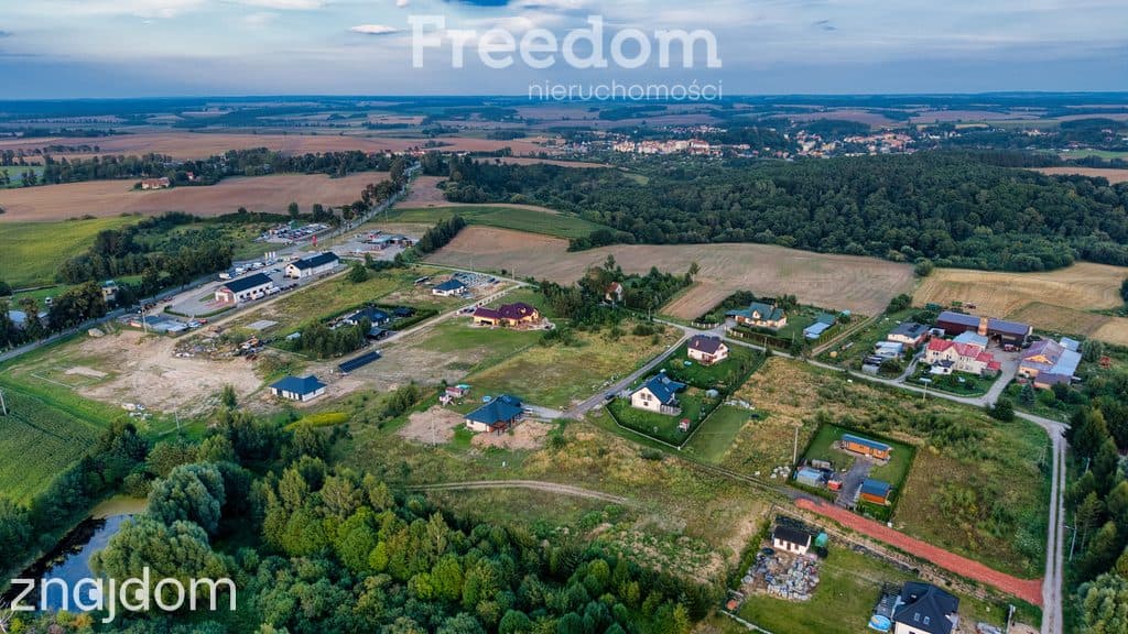 Działka budowlana 1771 m² z WZ, Nowiec - zdjęcie 5