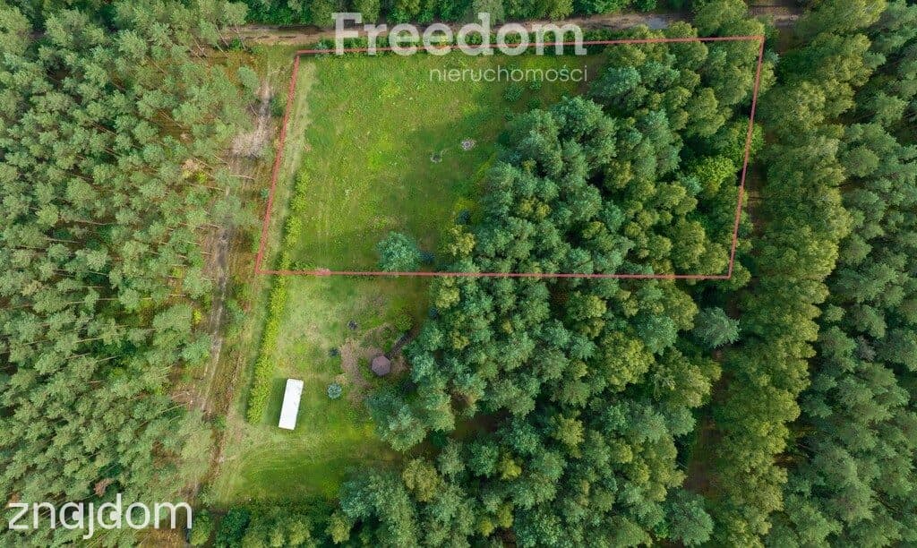 Działka siedliskowa pod lasem Więckowo - zdjęcie 2