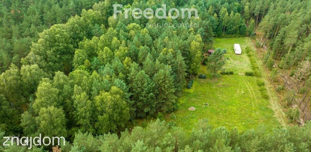 Działka siedliskowa pod lasem Więckowo - zdjęcie 10