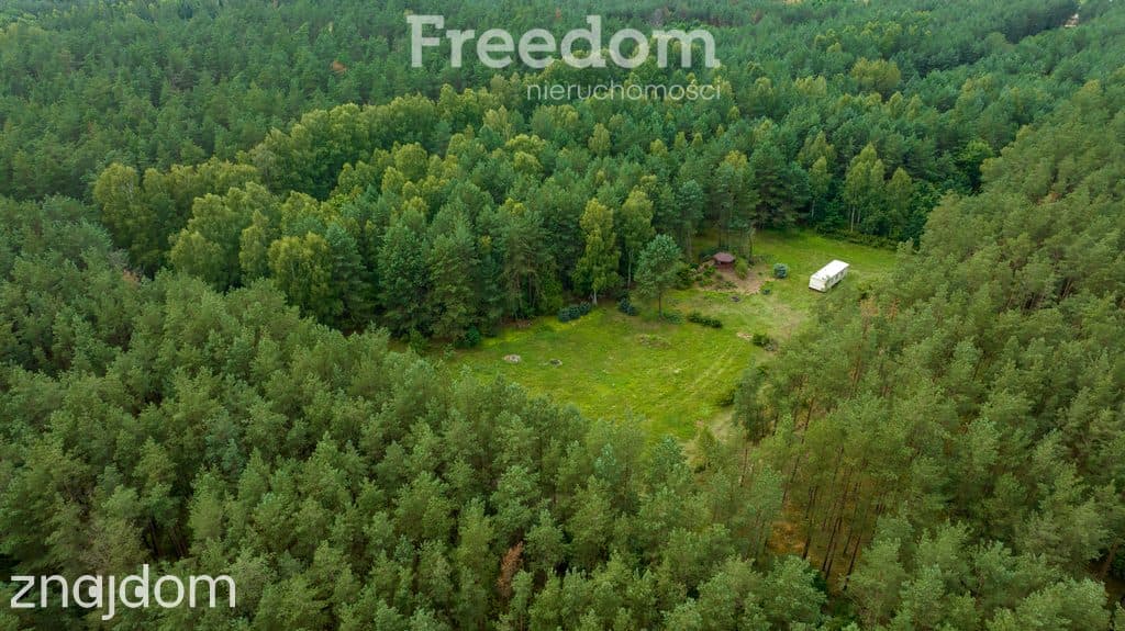 Działka siedliskowa pod lasem Więckowo - zdjęcie 11