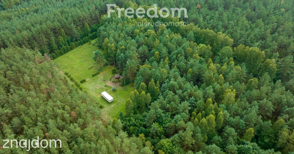 Działka siedliskowa pod lasem Więckowo