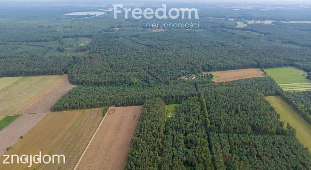 Działka siedliskowa pod lasem Więckowo - zdjęcie 14