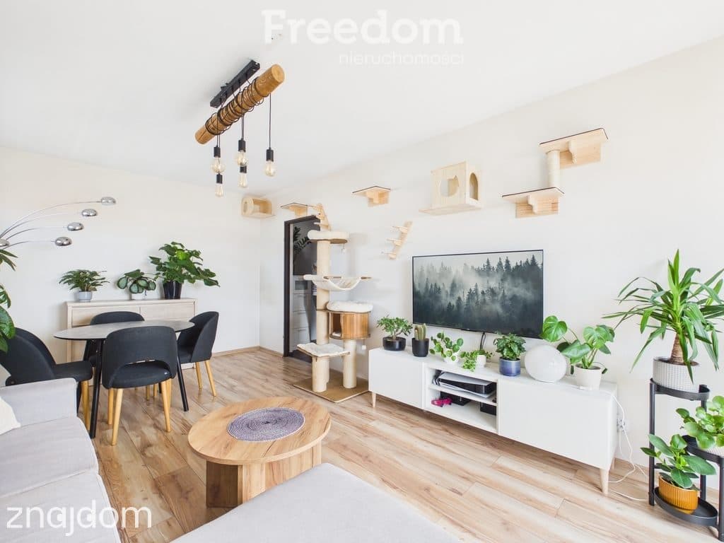 2 pokoje | 51,46 m² | balkon | hala garażowa - zdjęcie 12