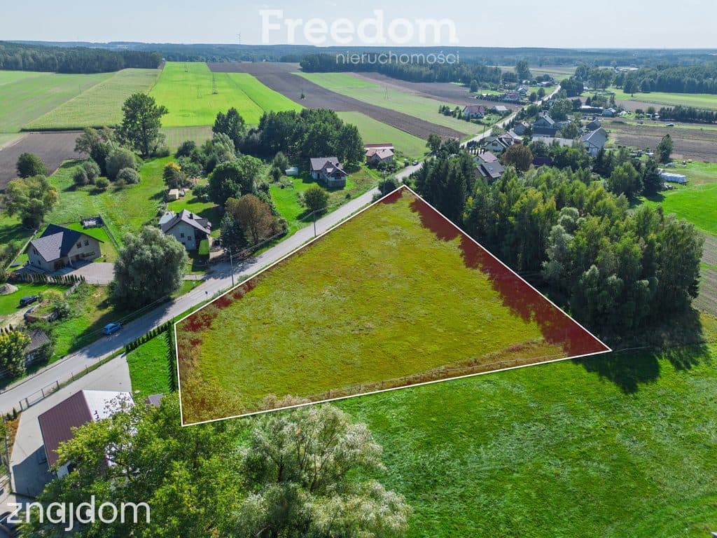 Atrakcyjne działki budowlane w Chotumiu z warunkami zabudowy - zdjęcie 3