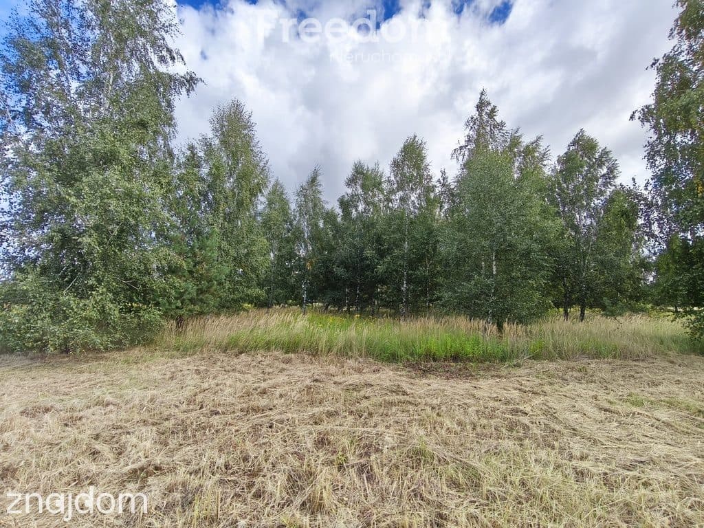 Działka budowlana 1305 m², media, 4 działki - zdjęcie 5