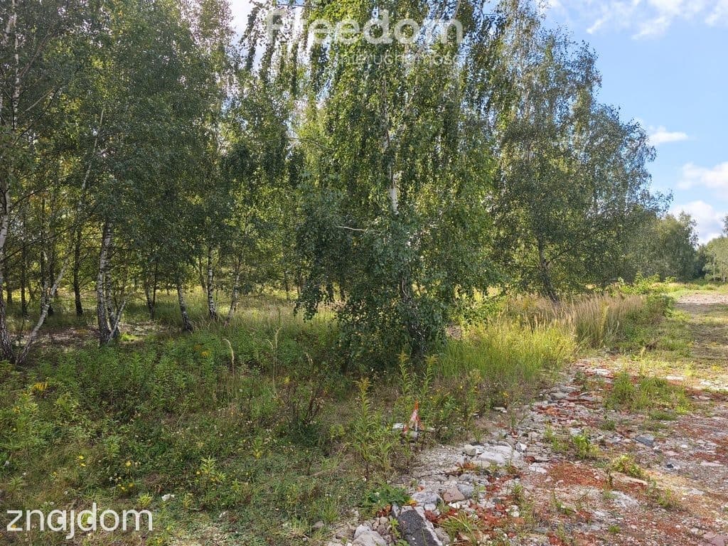 Działka budowlana 1305 m², media, 4 działki - zdjęcie 3
