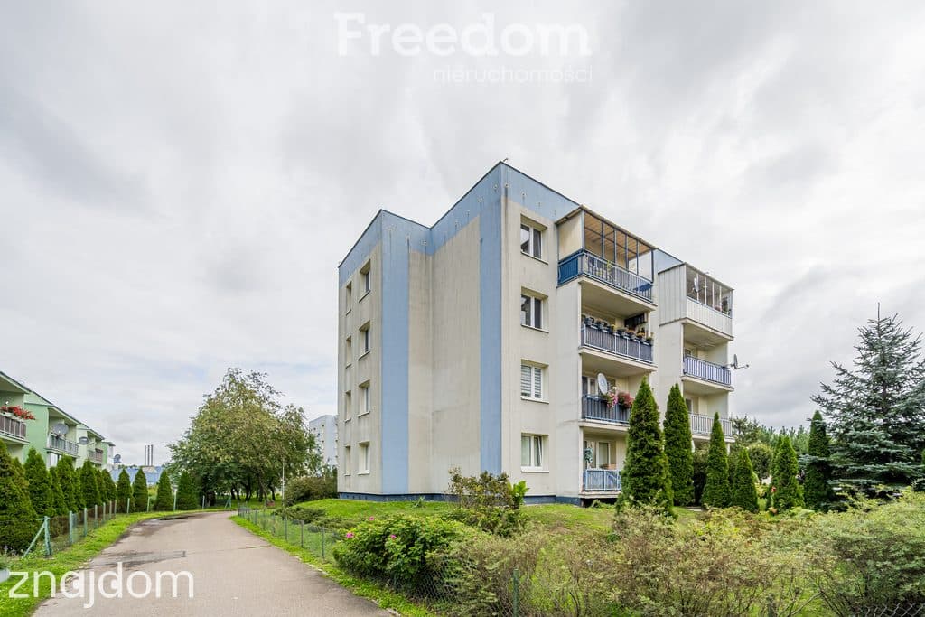 Rozkładowe | Idealny układ | Las | 3 pokoje - zdjęcie 15