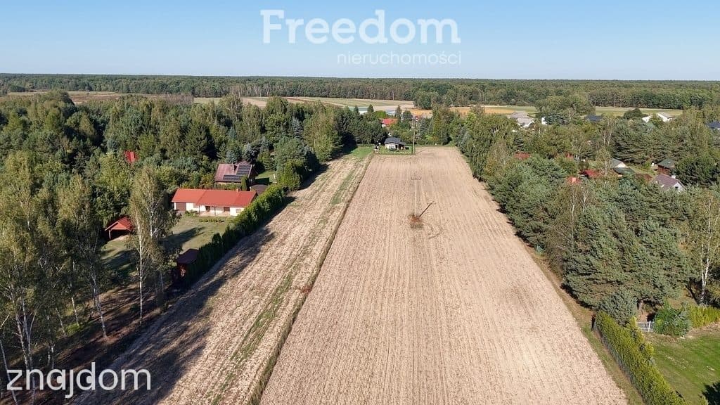 Prywatny azyl na Pojezierzu Łęczyńskim | Działka rekreacyjna 3012 m² - zdjęcie 2