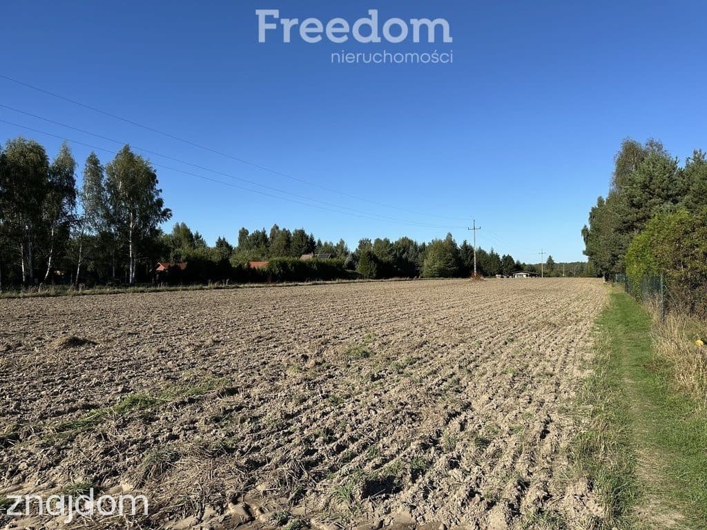 Prywatny azyl na Pojezierzu Łęczyńskim | Działka rekreacyjna 3012 m² - zdjęcie 5