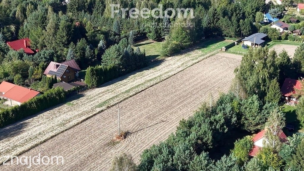 Prywatny azyl na Pojezierzu Łęczyńskim | Działka rekreacyjna 3012 m² - zdjęcie 4