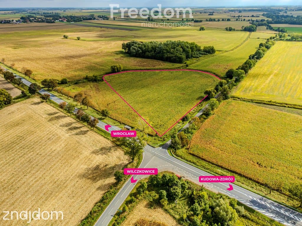 Działka inwestycyjna 2,31 ha | Wilczkowice | E8 - zdjęcie 2