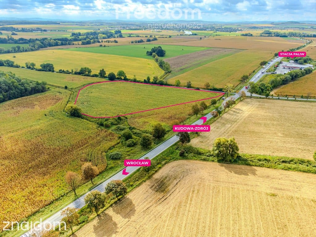 Działka inwestycyjna 2,31 ha | Wilczkowice | E8