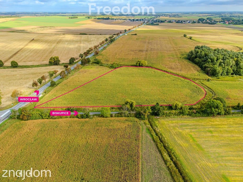 Działka inwestycyjna 2,31 ha | Wilczkowice | E8 - zdjęcie 3