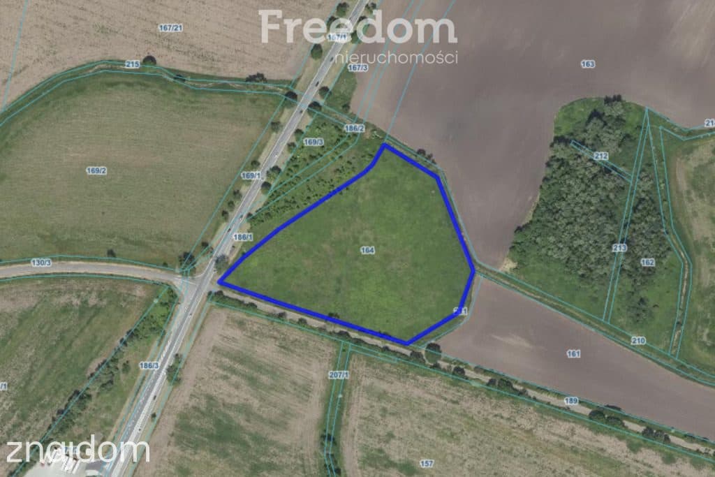 Działka inwestycyjna 2,31 ha | Wilczkowice | E8 - zdjęcie 4