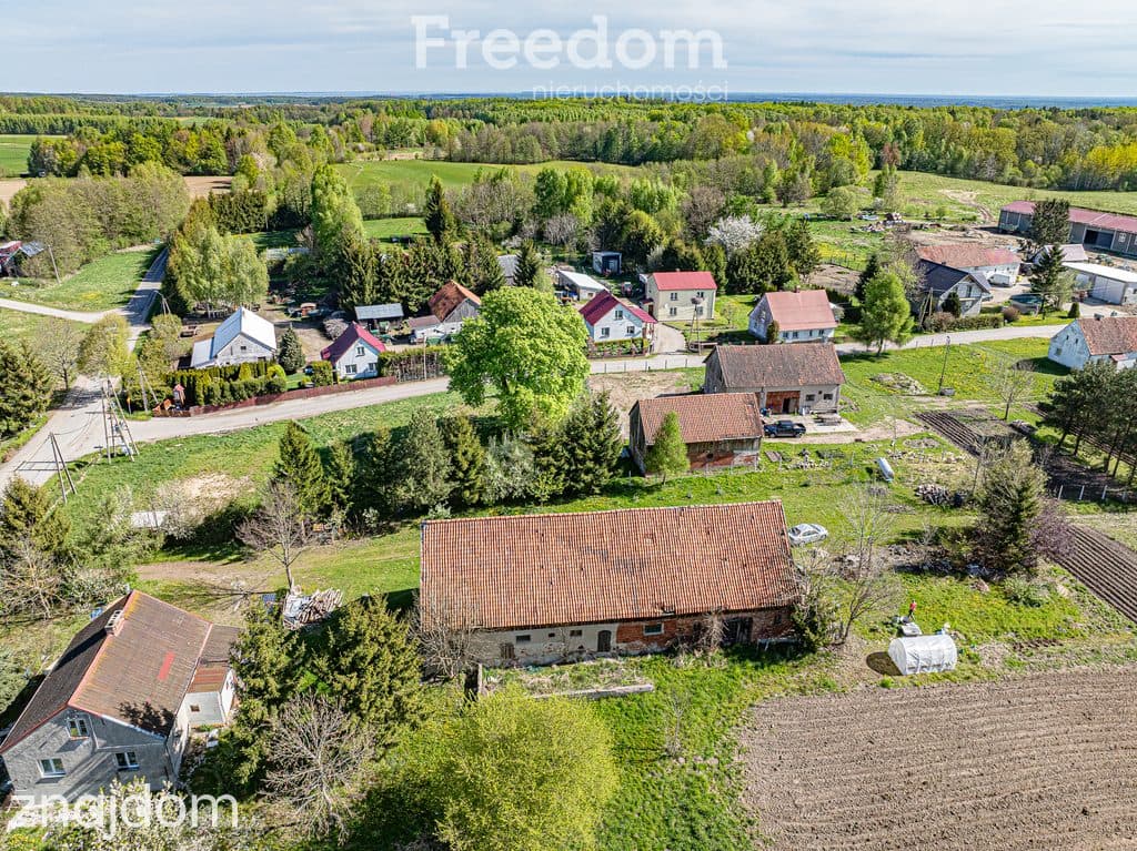 Działka budowlana – Rychnowy, gm. Milejewo - zdjęcie 9