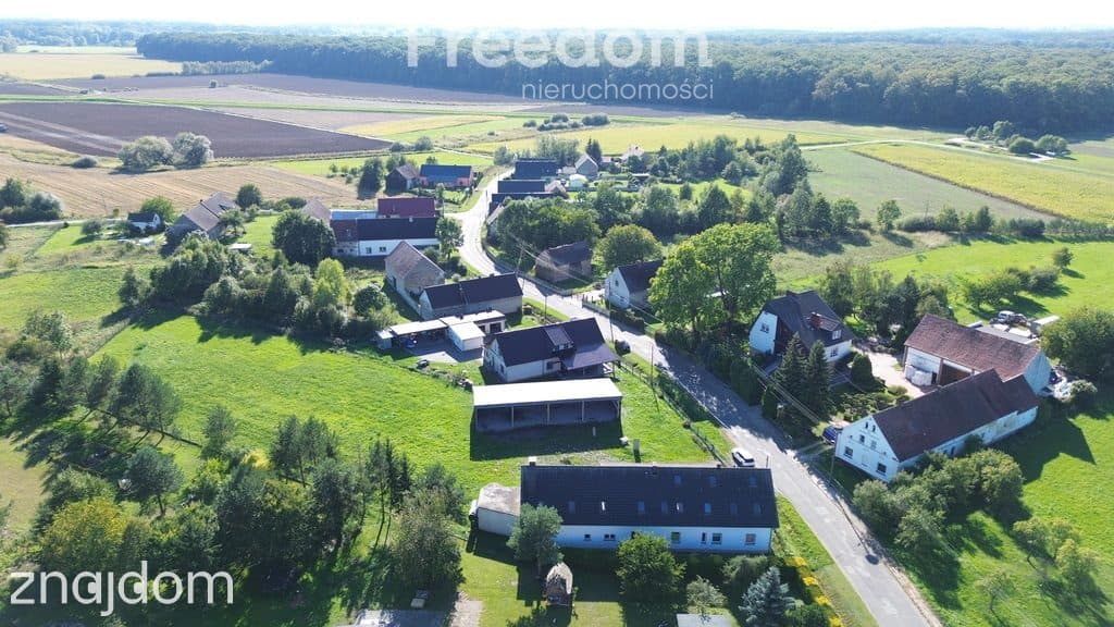 360 m² + 43 ary i niezliczone możliwości - zdjęcie 11