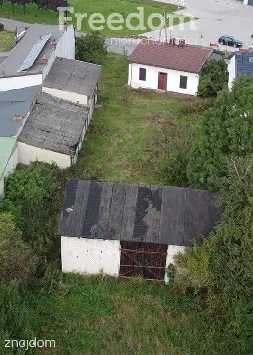 Działka 1500 m² wraz z budynkami sprzedaż – Strzałków - zdjęcie 5