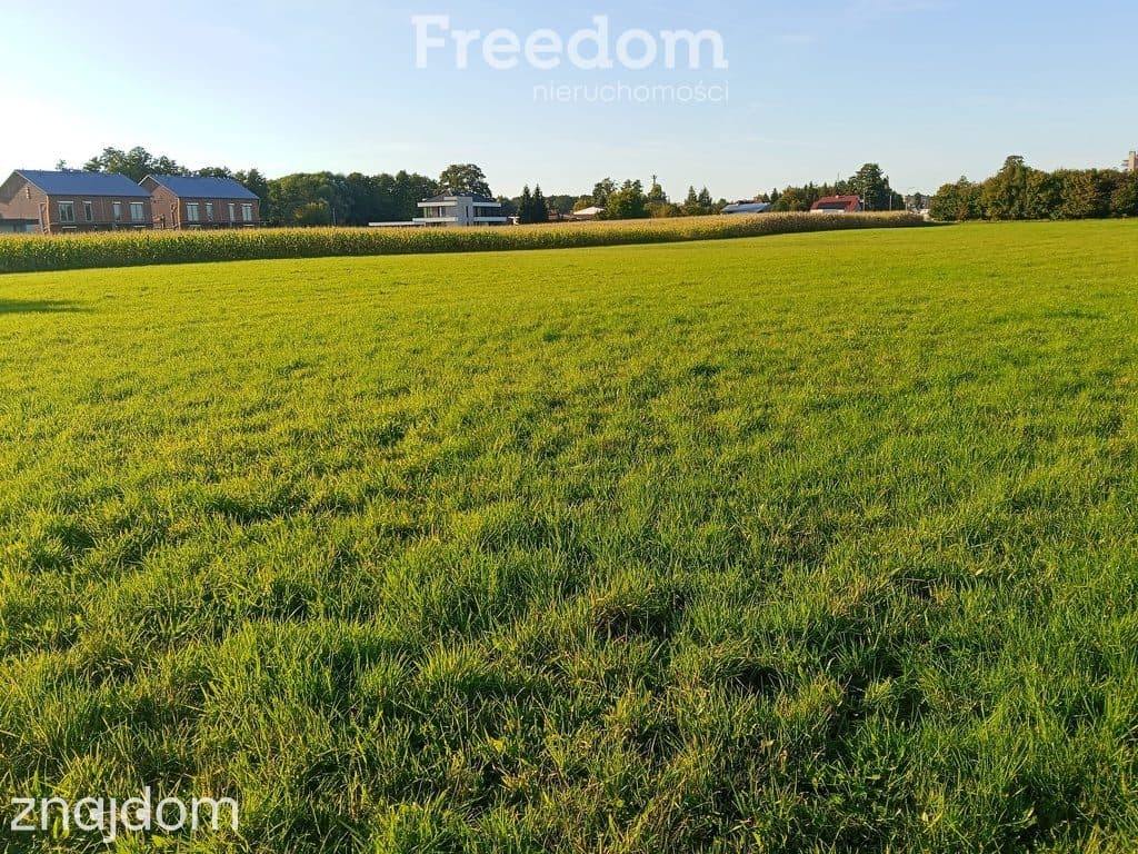 Działka 1,24 ha pod zabudowę mieszkaniową jednorodzinną w Baranowie - zdjęcie 5